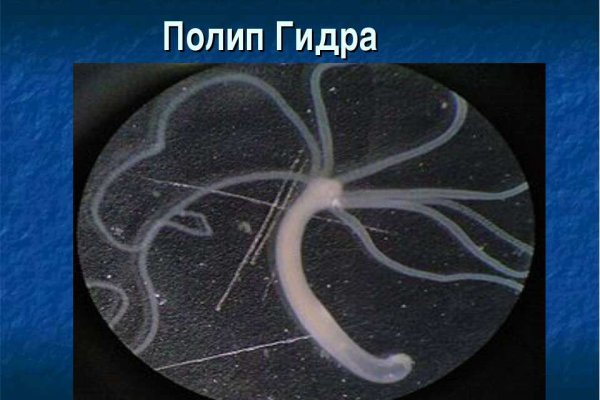 Ссылки на даркнет