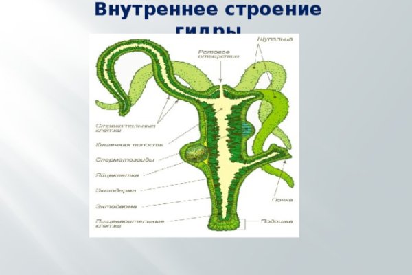 Кракен ссылка тор браузер